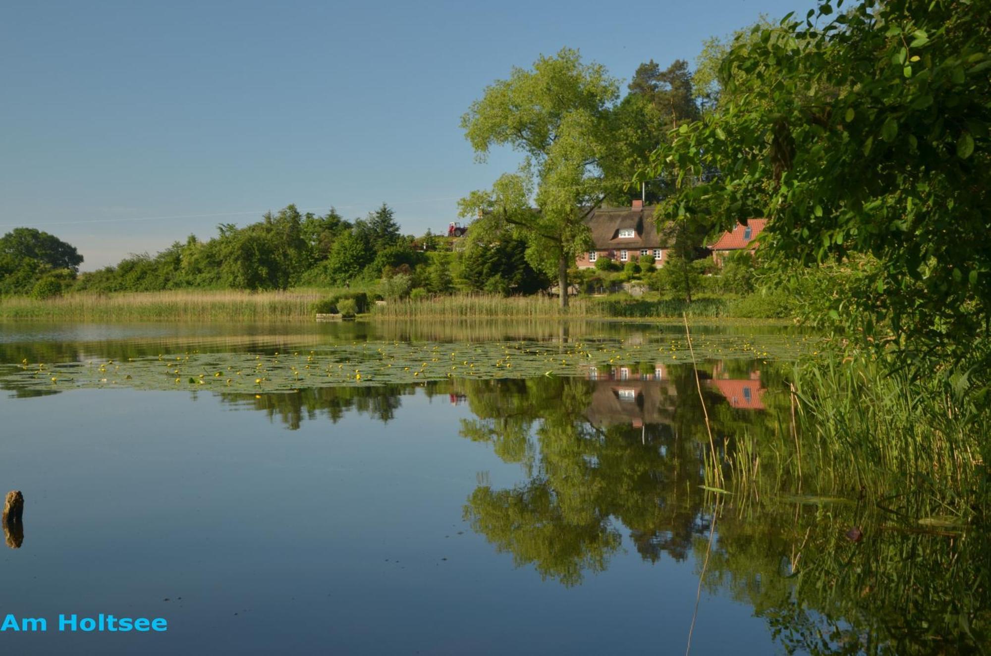 Apartament Ohm Holtsee Zewnętrze zdjęcie